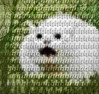😯