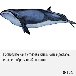 🤣