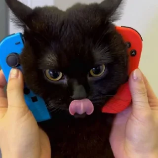 😋