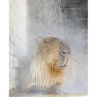 🥶
