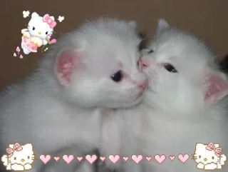 😻