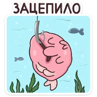 🎣