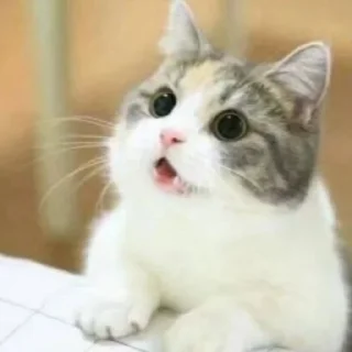 😍