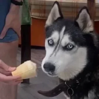 😳
