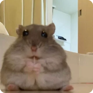 😳