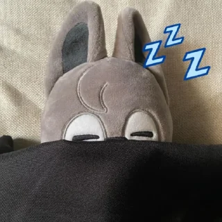 💤