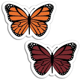🦋