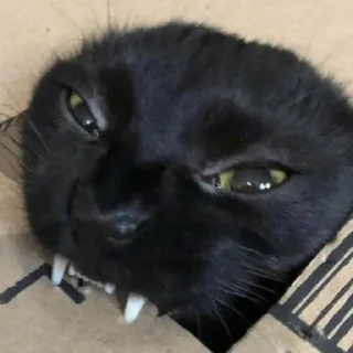 😝