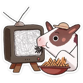📺