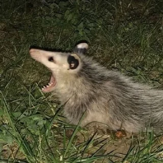 😬