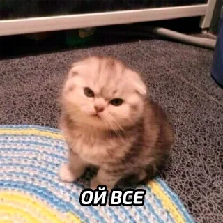 😠