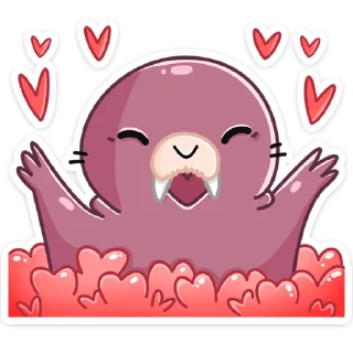 😍