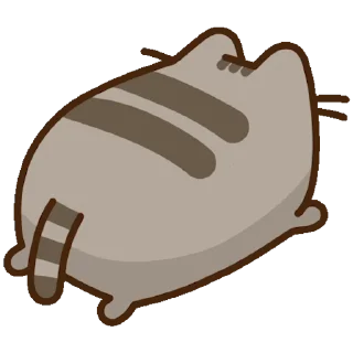 🐈