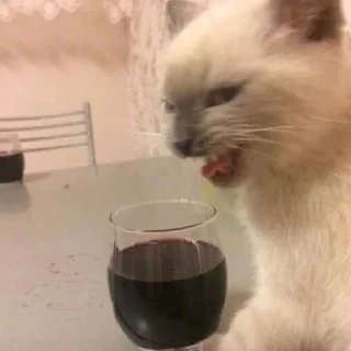 🍷