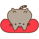 🐱