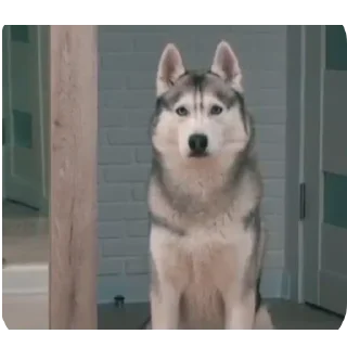 👍