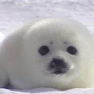 🤗