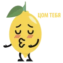 🍋