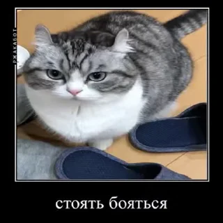 😨