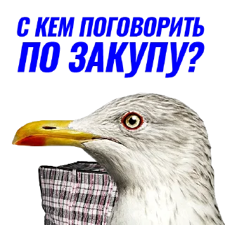 💲