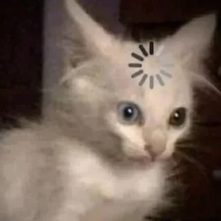 😵
