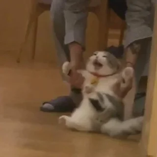 😩