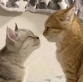 🥰