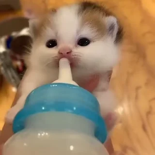 😗