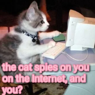 🕵