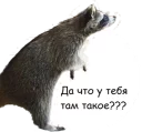Tema