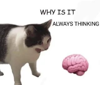 🤬