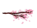 🌷