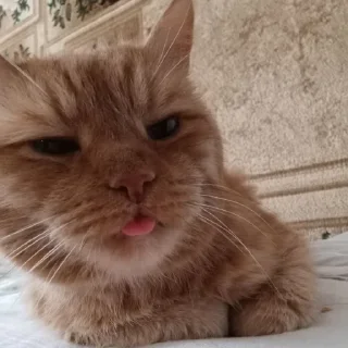 😛