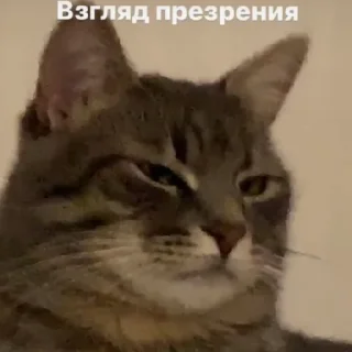 😑