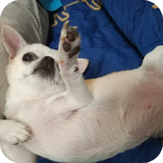 👍