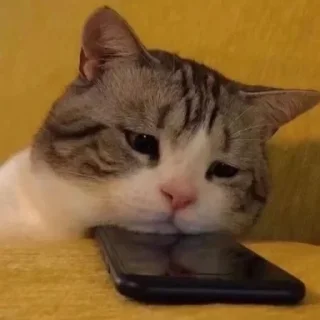 🤯