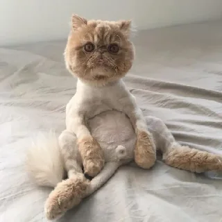 😧