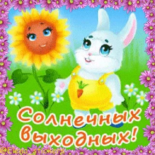 🐇