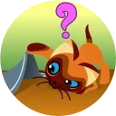 ❓