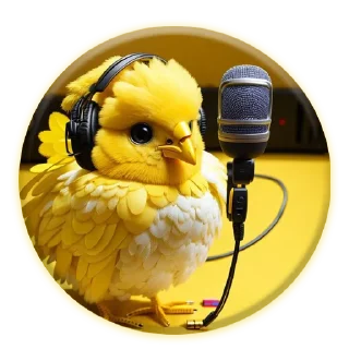 🎤
