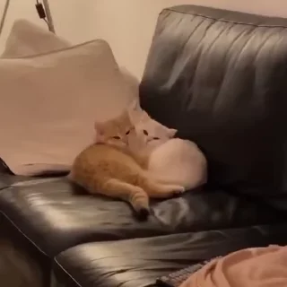 🥰