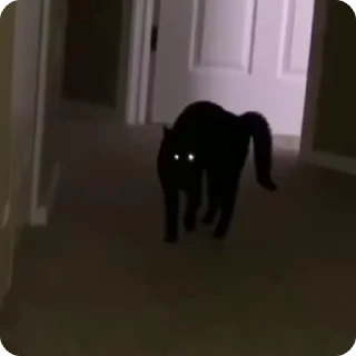 🥷