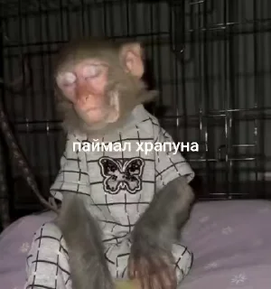 😱