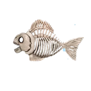 🐟