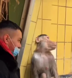 😅