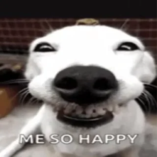 😁
