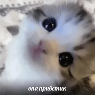 👋