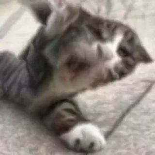 😭
