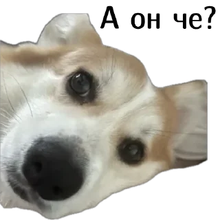 😮
