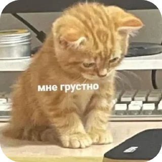 Китики 🫶